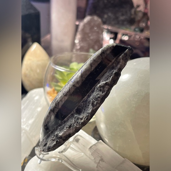 Authentic orthoceras fossils preserved in a rock matrix - Picture 6 of 12